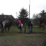 Idyllic Countryside Farm With Horseback Riding