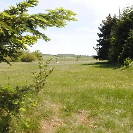 Idyllic Countryside Farm With Horseback Riding Prázdninový dům *