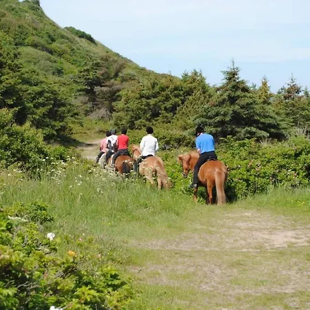 Idyllic Countryside Farm With Horseback Riding Nibe