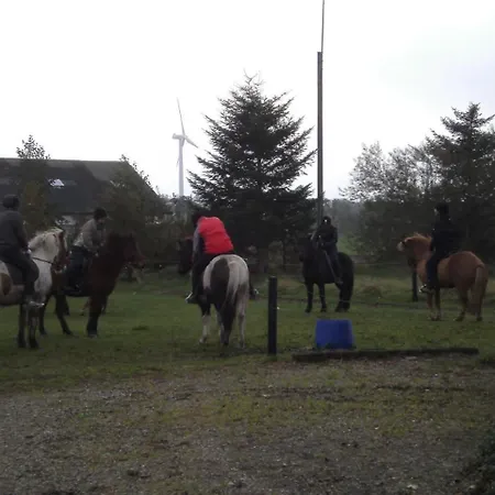 Idyllic Countryside Farm With Horseback Riding