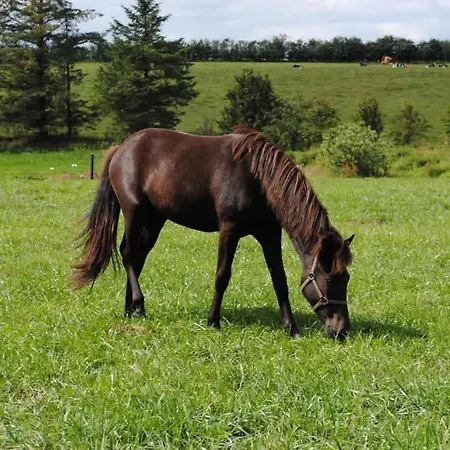 Idyllic Countryside Farm With Horseback Riding Prázdninový dům